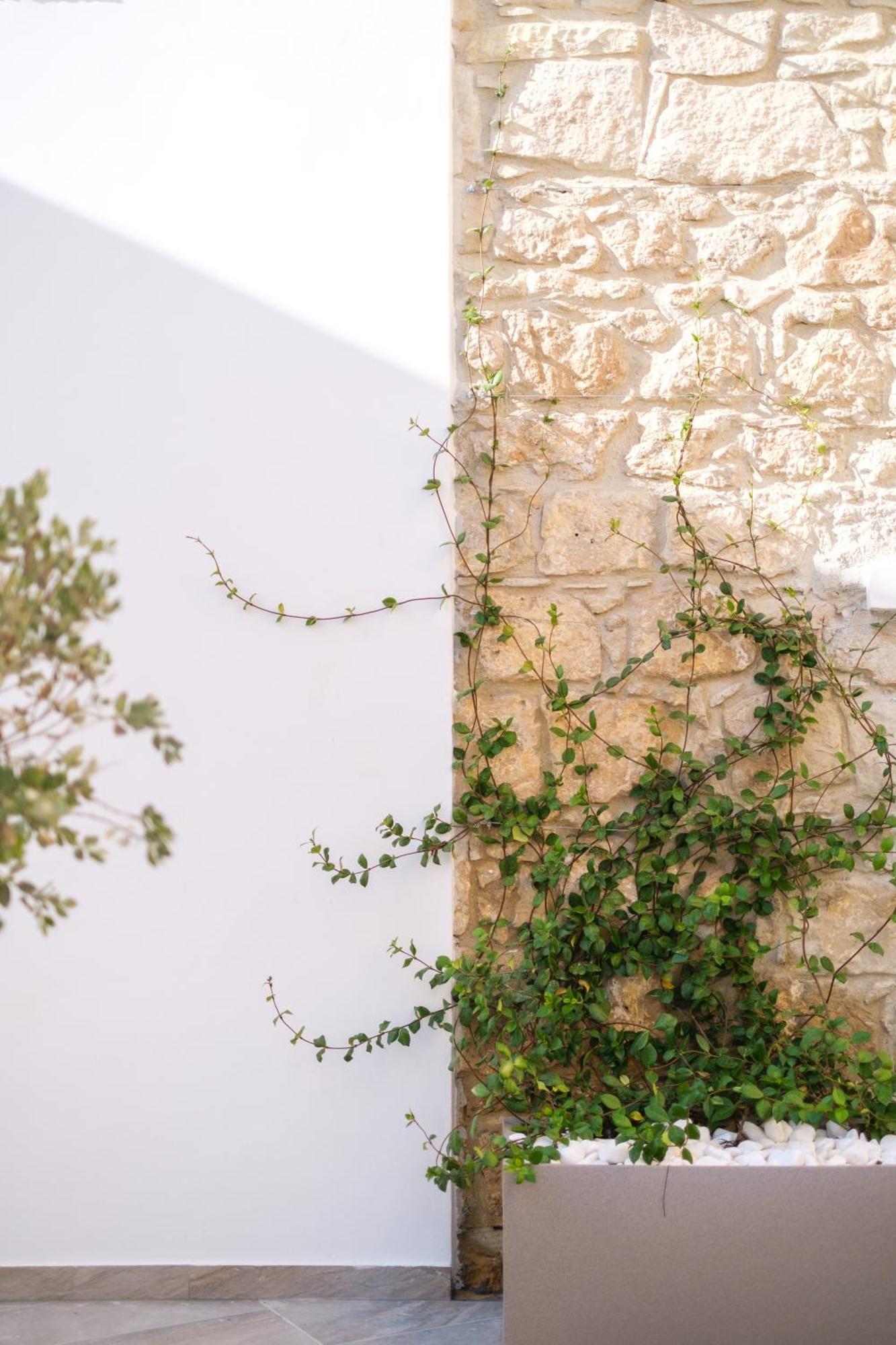 Royal Stay Luxury Homes Pafos Exterior foto